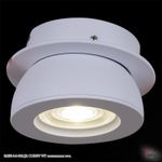 84053-9.0-001QR COB8W WT светильник точ.