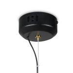 Подвесной светильник Enchantment FR5384PL-L13GN, LED. TM Maytoni