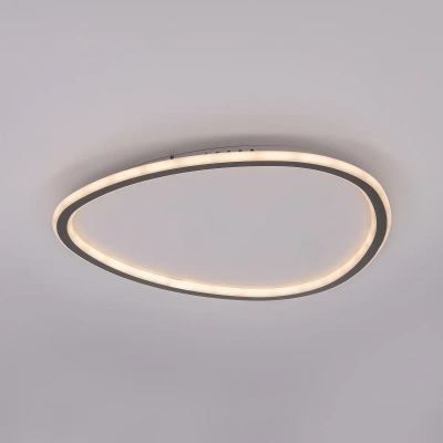 Citilux ТRIO CL215B251E LED RGB Люстра с пультом Чёрная