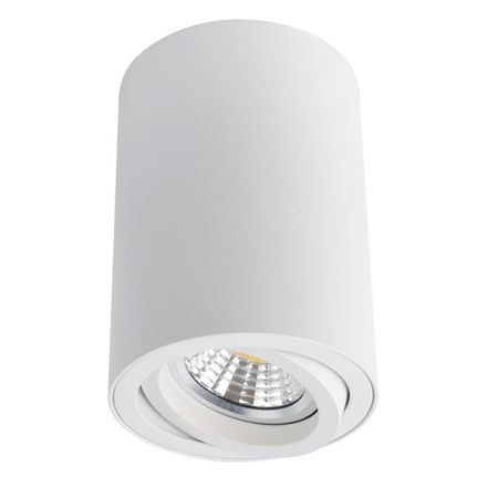 Точечный накладной светильник Arte Lamp SENTRY A1560PL-1WH, 1хGU10