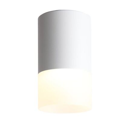 ST100.502.05 Светильник потолочный Белый LED 1*5W 3000K 390Lm Ra&gt;80 120° D64xH110 170-240V