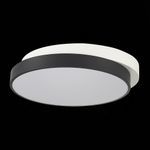SLE200702-01 Светильник потолочный Черный, Белый/Белый LED 1*45W 3000K/4000K/6000K