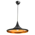 Подвесной светильник Arte Lamp CAPPELLO A3406SP-1BK, 1хE27