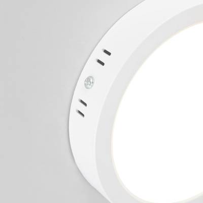 Citilux Галс CL5522N Светильник накладной светодиодный