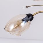Citilux Комета CL108155 Люстра потолочная Бронза Венге