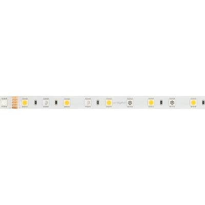 Светодиодная лента RTW-SE-B60-10mm 24V RGBW-Day (14.4 W/m, IP65, 5060, 5m) (Arlight, Открытый)