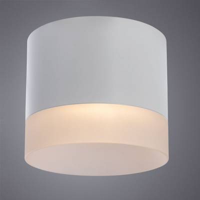 Точечный накладной светильник Arte Lamp CASTOR A5554PL-1WH, 1хGX53