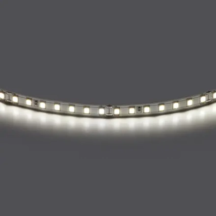 420844 Лента двухсторонняя LIGHTSTAR LED 24V 12W 360G 5m/roll 4000K