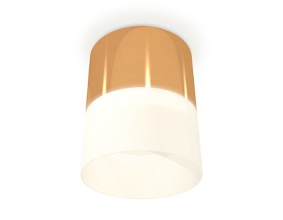 Комплект накладного светильника с акрилом XS8121011 PYG/FR золото желтое полированное/белый матовый GX53 (C8121, N8402)