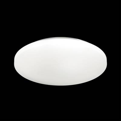 3017/DL PALE SN 171 Светильник пластик/белый LED 48Вт 4000K D400 IP43 SIMPLE