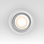 Встраиваемый светодиодный светильник с регулировкой угла освещения Zoom 10W 4200K белый 9919 LED