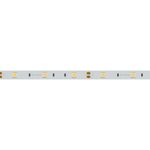 Светодиодная лента RT-B30-10mm 12V Warm2700 (7.2 W/m, IP20, 5060, 5m) (Arlight, 7.2 Вт/м, IP20)