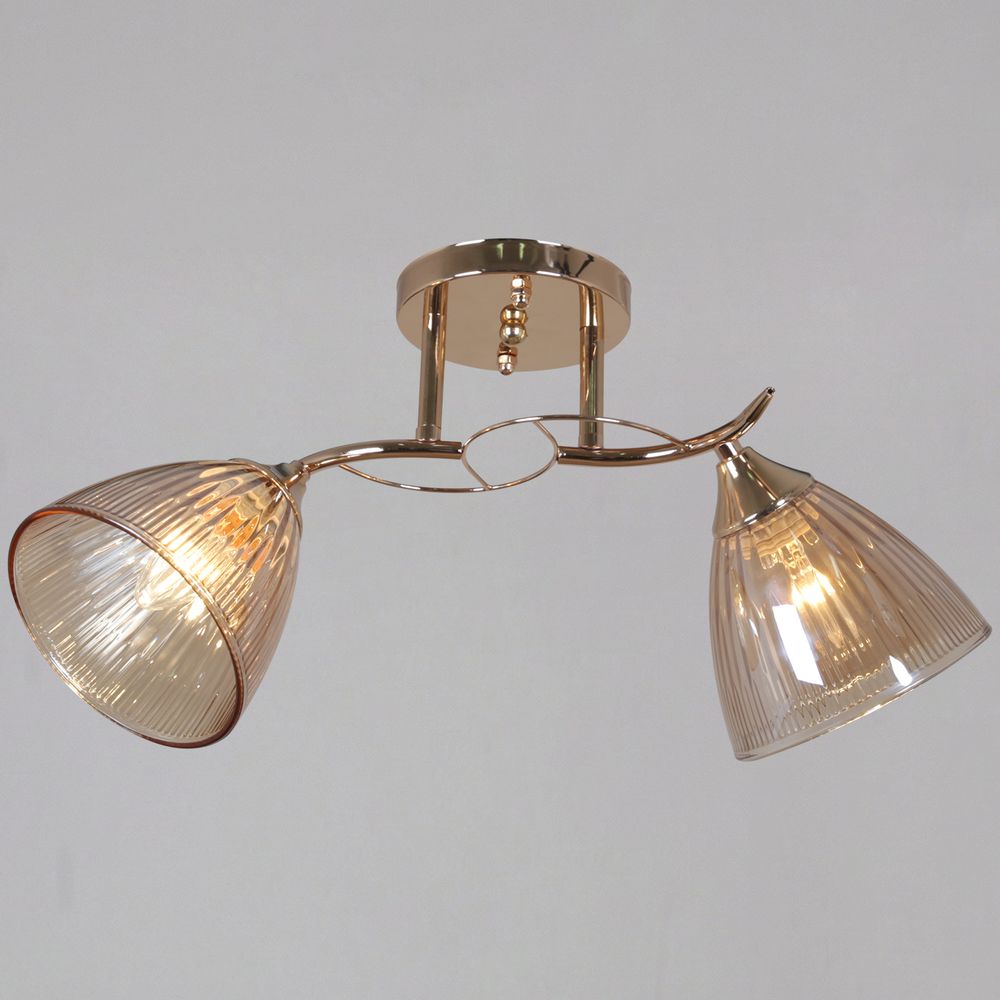 02560-0.3-02 FG светильник потолочный