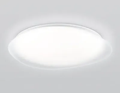 Светильник светодиодный RGB с пультом  FZ1615 FR матовый IP20 60W 3000-6500K+RGB 510*100 (ПДУ ИК)