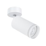 Спот Arte Lamp IMAI A2365PL-1WH, 1хGU10