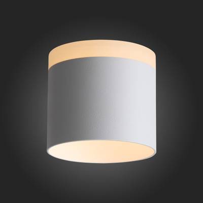 ST102.502.12 Светильник потолочный Белый LED 1*12W 3000K 936Lm Ra&gt;80 120° IP20 D100xH90 170-240V