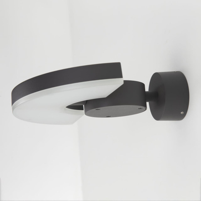 Citilux CLU03W LED Уличный настенный поворотный светильник Графит