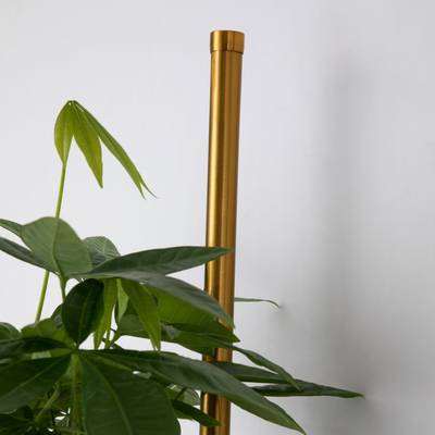 Настенный светильник Greenery 4050-2W. ТМ Favourite