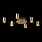 SL1207.402.06 Светильник потолочный ST-Luce Черный/Латунь GU10 6*7W