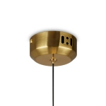 Подвесной светильник Frisky FR5385PL-L17B, LED. TM Maytoni
