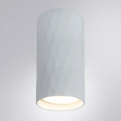 Точечный накладной светильник Arte Lamp FANG A5557PL-1WH, 1хGU10