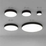Потолочный светильник Arte Lamp FADO A7335PL-1BK, 1хLED
