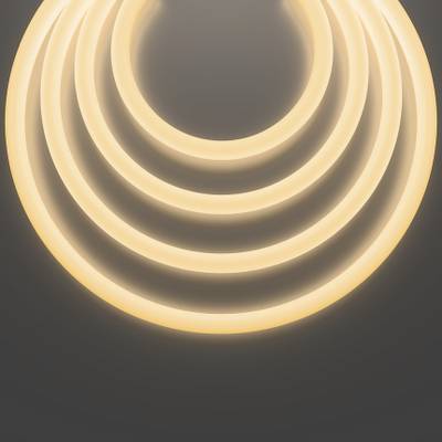 Гибкий неон Nemo S D25 24В 20Вт/м 3000К IP65 5м, 20306. TM Maytoni