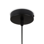Подвесной светильник Jiffy FR5188PL-01G, E27х1. TM Maytoni
