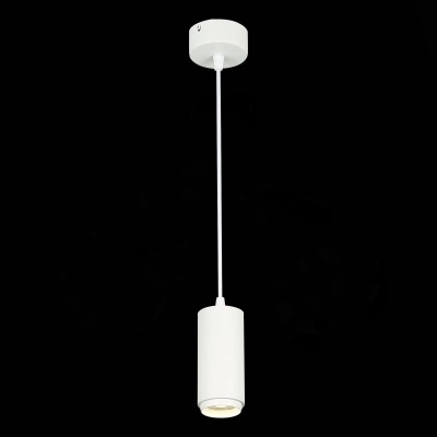 ST600.543.10 Светильник подвесной Zoom Белый LED 1*10W 4000K 1 000Lm Ra>80 15-60° IP20 D59xH130 170-240VV