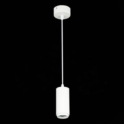 ST600.533.10 Светильник подвесной Zoom Белый LED 1*10W 3000K 1 000Lm Ra&gt;80 15-60° IP20 D59xH130 170-240VV