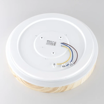 Citilux ENZO CL753352G LED RGB Светильник с пультом Клён