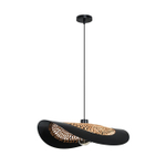 Подвесной светильник Arte Lamp WOODSTOCK A7059SP-1BK, 1хE27