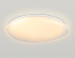 Светильник светодиодный RGB с пультом  FZ1615 FR матовый IP20 60W 3000-6500K+RGB 510*100 (ПДУ ИК)
