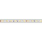 Светодиодная лента герметичная RTW-PFS-B60-13mm 24V Day5000 (14.4 W/m, IP68, 5060, 5m) (Arlight, 14.4 Вт/м, IP68)