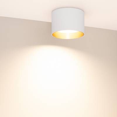 Светильник SP-BISCOTTO-R120-12W Warm3300-MIX (WH-GD, 80 deg, 230V) (Arlight, IP54 Металл, 5 лет)