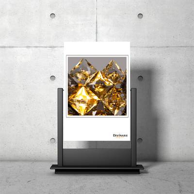 Настенный светильник Divinare ROSALINDA 7204/17 AP-2, 2хE14