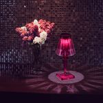 SL1010.704.01 Прикроватная лампа ST-Luce Фиолетовый/Фиолетовый LED 1*3W 3000K/4000K/6000K