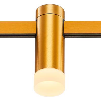 ST812.206.03 Магнитный трековый светильник FARM Золотистый LED 1*3W 3000K 93Lm Ra90 120 IP20 D29xH90 24V