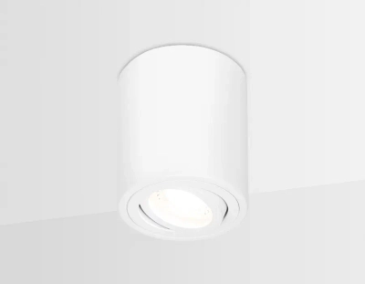 Накладной поворотный точечный светильник TN225 WH белый GU5.3 D80*100