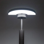 Citilux CLU03B1 LED Уличный парковый светильник поворотный Графит