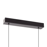 Citilux GLOB CL209131 LED Светильник подвесной Чёрный