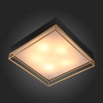SL1127.422.05 Светильник потолочный ST-Luce Черный, Матовое золото/Белый E27 5*40W