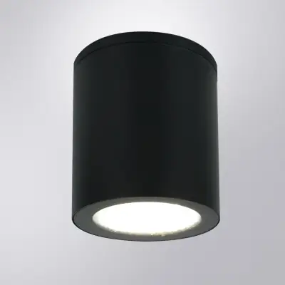 Уличный потолочный светильник Arte Lamp TORCULAR A1813PF-1BK, 1хLED