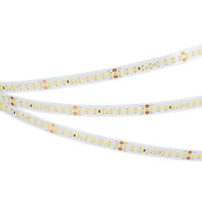 Светодиодная лента UL-A180-10mm 24V Day5000 (12 W/m, IP20, 5m) (Arlight, высок.эфф.180 лм/Вт)