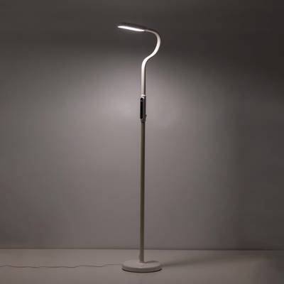 Citilux Марк CL804020 Торшер гибкий светодиодный Белый