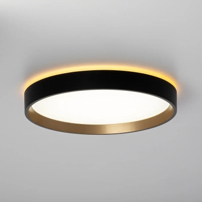 Citilux ETALON CL750241 LED Светильник с подсветкой Чёрный+Золото
