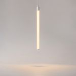 Подвесной светильник Ray P021PL-L10W. ТМ Maytoni