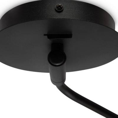 Настенный светильник (бра) Enzo FR5201WL-01B1, GU10х1. TM Maytoni