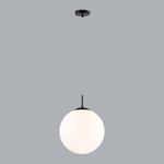 6510/1A SUSPENTIONI LN23 196 чёрный Подвес E27 1*60W 220V SUMMER