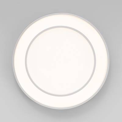 Потолочный светильник 90331/2 белый